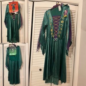 Adult Hocus Pocus Wini Costume